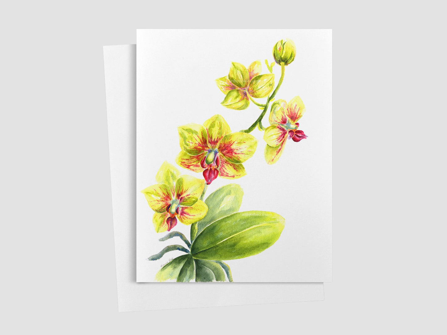 Orchid - Yellow and Pink Greeting Card