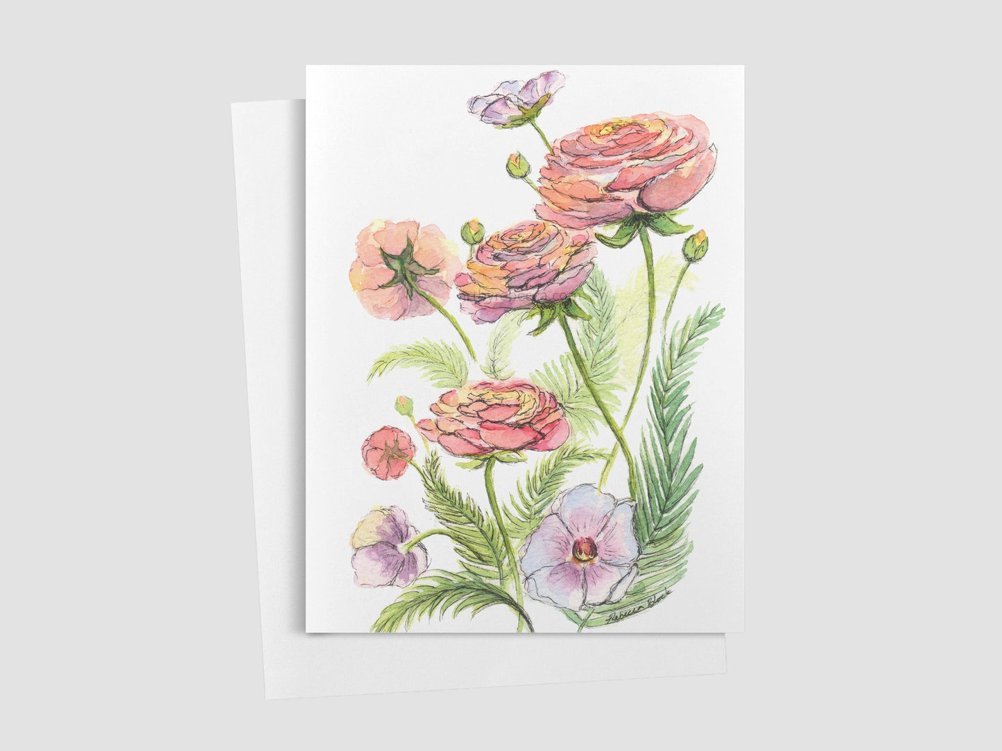 Pink Ranunculus Greeting Card