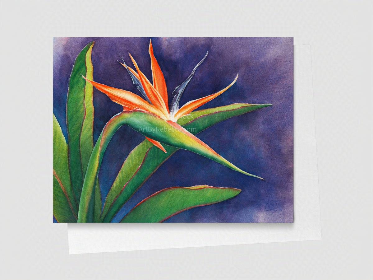 Bird of Paradise Greeting Card