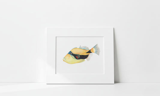 "Humuhumunukunukuāpuaʻa" Art Print
