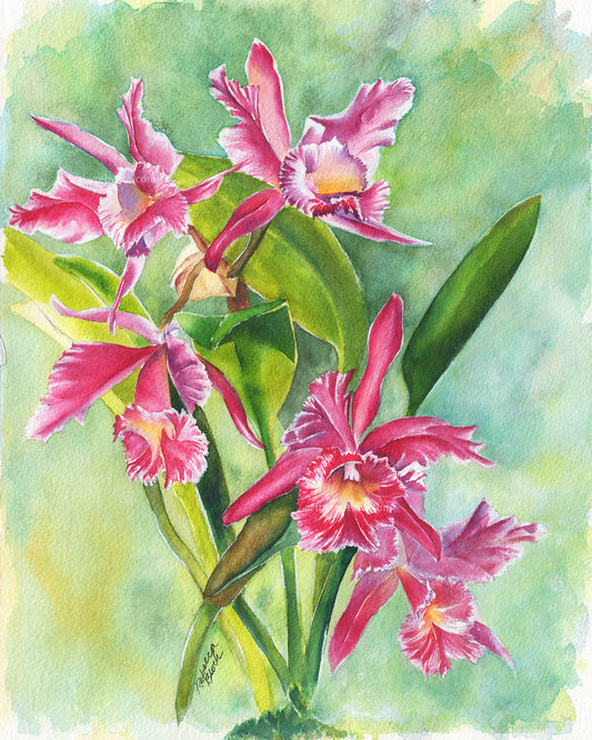 Watercolor painting of pink orchids with green leaves on a light green background