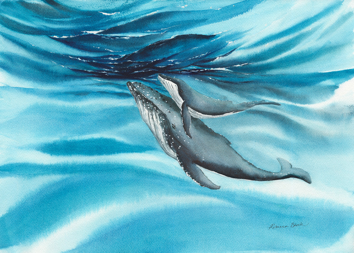 Artistic depiction of two humpback whales (mother and calf) swimming underwater with blue water.