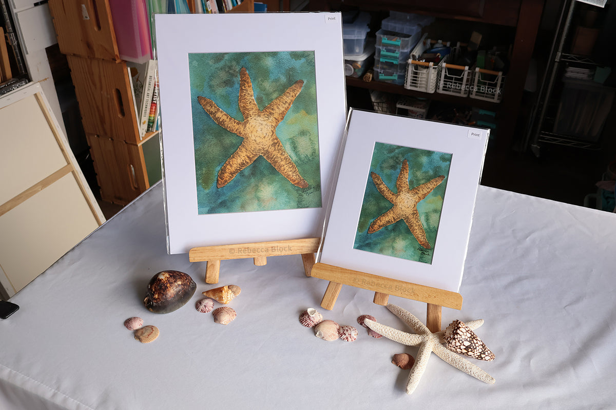 Two matted starfish art prints displayed on wooden easels on a white tablecloth-covered table, surrounded by real starfish and seashells in a home studio setting.