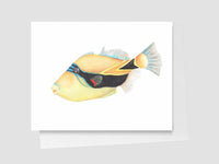 Illustration of a colorful fish on a white background