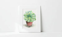 Matted artwork of a green succulent plant on a white background