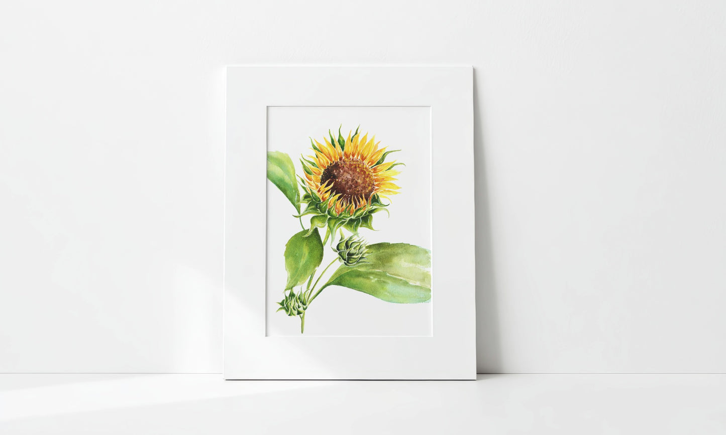 "Sunflower Unfurling" Art Print