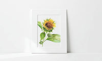 Matted artwork of a sunflower on a white wall