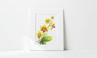 Matted artwork of an orchid floral design on a white background