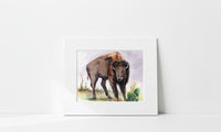 "Mr. Bison" Art Print