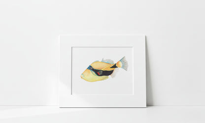 "Humuhumunukunukuāpuaʻa" Art Print