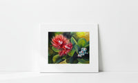 "'Ōhi'a Lehua Glow" Art Print - Hawai'i Botanical Flowers