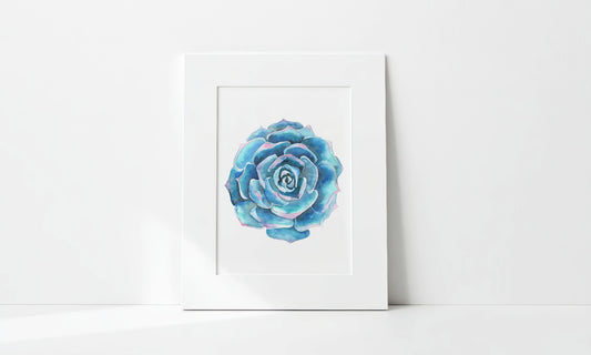"Blue Radiance Succulent" Art Print