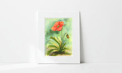 Matted watercolor painting of a red poppy flower with green leaves on a white background