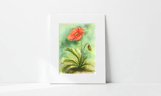 "Lone Poppy" Art Print