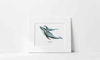 Matted artwork of two humpback whales (mother and calf) on a white background