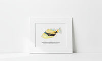 Matted illustration of a colorful tropical fish on a white wall