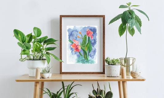 "Coral Cattleyas"