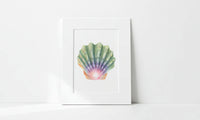 Matted artwork of a colorful shell on a white background