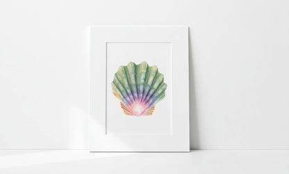 Matted artwork of a colorful shell on a white background