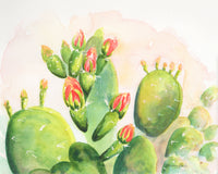 Watercolor painting of a cactus with green pads and red buds on a light background