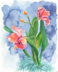 Watercolor painting of pink orchids with a blue and green background