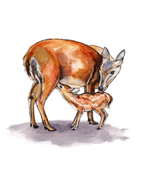 Illustration of a deer and its fawn on a white background