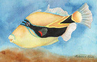 Watercolor painting of a tropical triggerfish against a blue and brown background