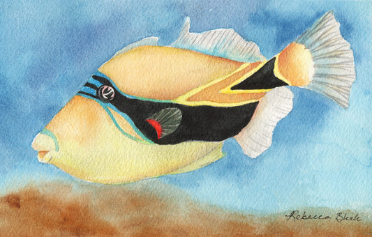 "Humuhumunukunukuāpuaʻa"