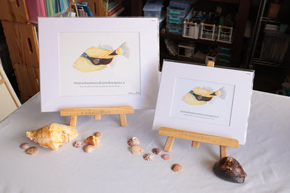 Two matted art prints featuring a yellow and black reef triggerfish, displayed on small wooden easels on a white tablecloth with seashells arranged around them.