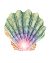 Colorful shell illustration on a white background