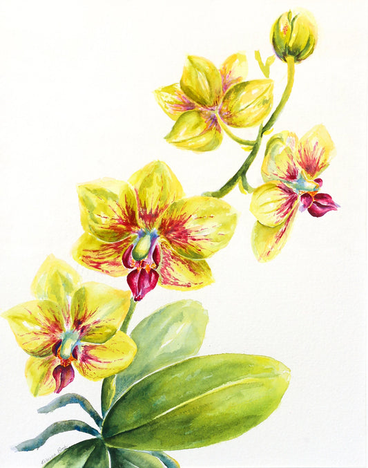 Illustration of yellow orchids with green leaves on a white background