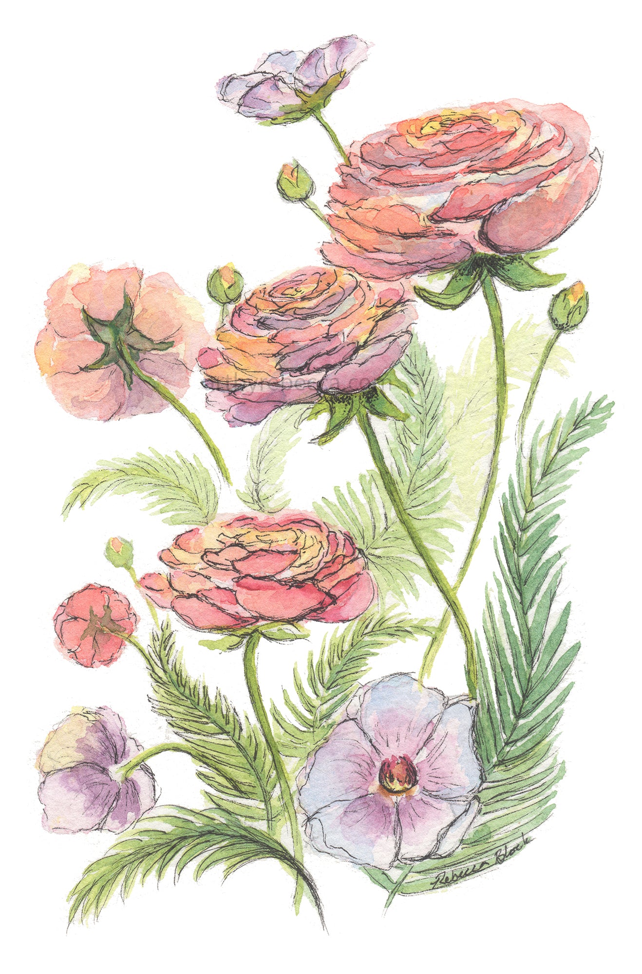 Illustration of pink and purple flowers with green leaves on a white background
