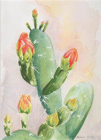 Watercolor painting of a cactus with red buds on a light background