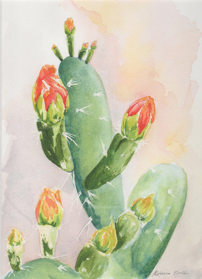 "Red Arroyo Prickly Pear"