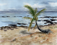 Painting of a palm tree on a rocky Hale'iwa beach with tropical ocean and sky in the background