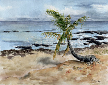 Painting of a palm tree on a rocky Hale'iwa beach with tropical ocean and sky in the background