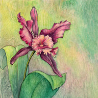 Illustration of a pink orchid with green leaves on a textured background
