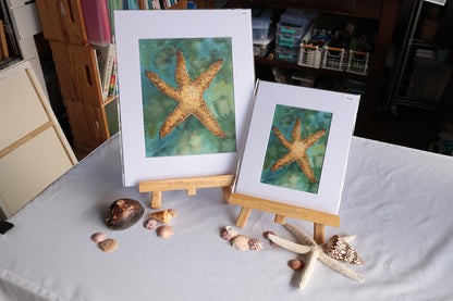 Two matted starfish art prints displayed on wooden easels on a white tablecloth-covered table, surrounded by real starfish and seashells in a home studio setting.