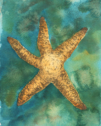 Artistic depiction of a starfish on a textured blue and green background