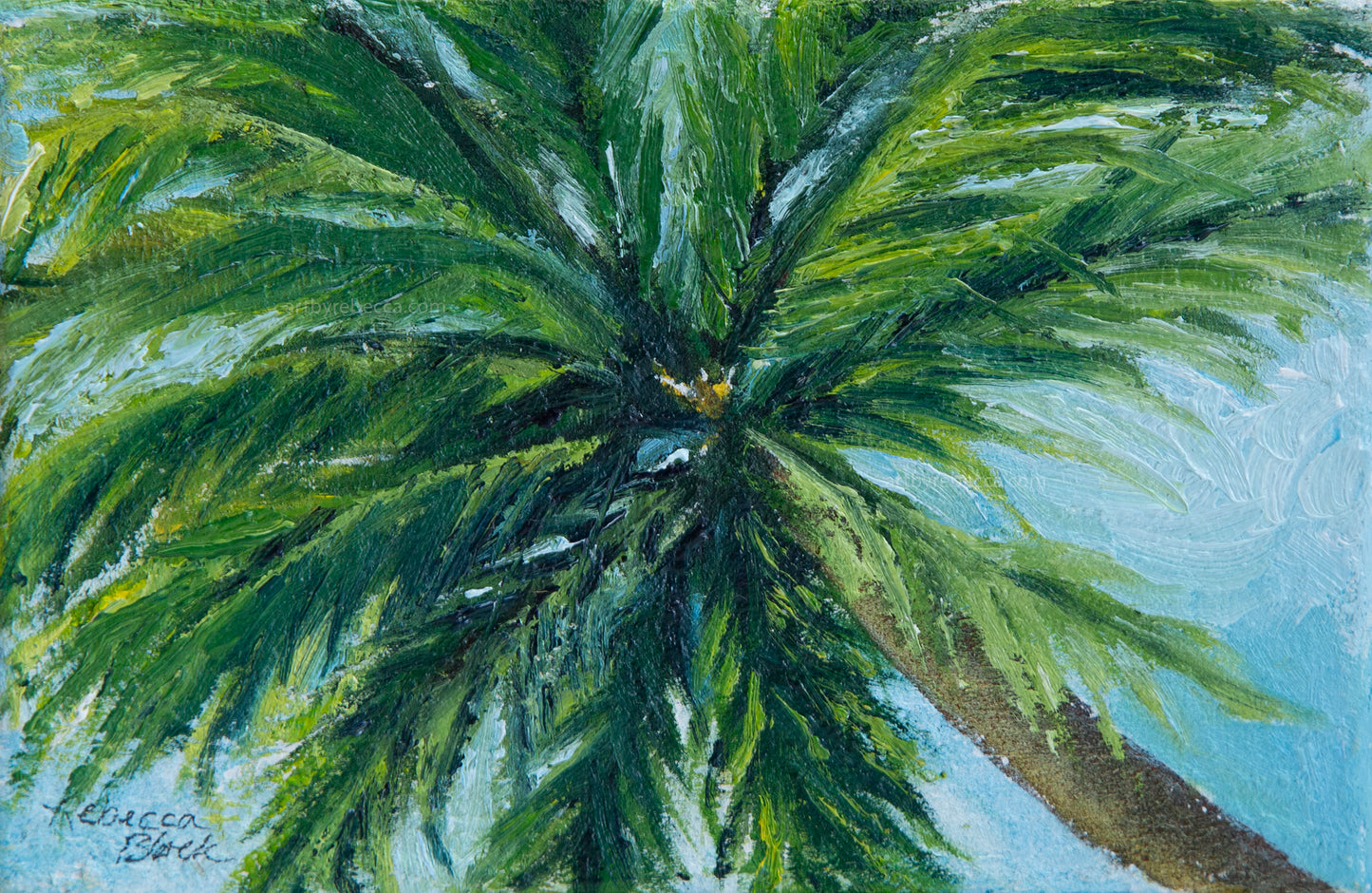 "View from the Sand"