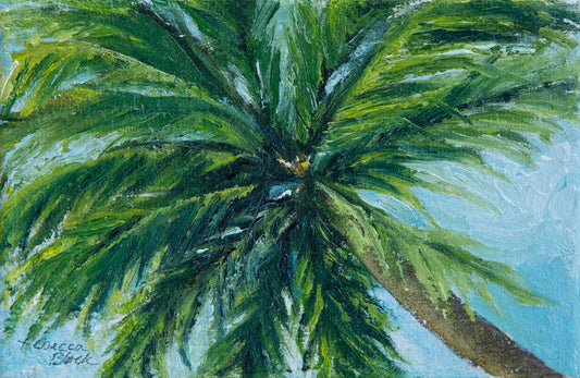 "View from the Sand"