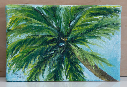 "View from the Sand"