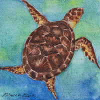 Artistic depiction of a turtle on a watercolor background
